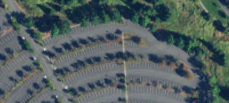 Cordata Pkwy