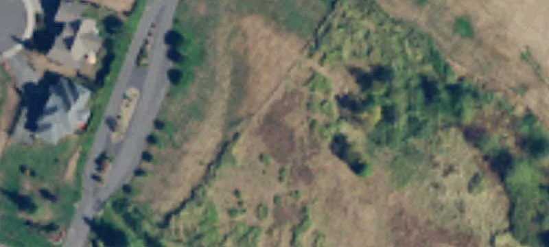 Loomis Trl Rd
