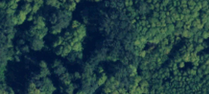 Gulf Rd