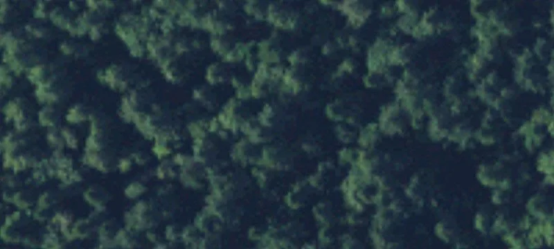 Brinnon, WA 98320
