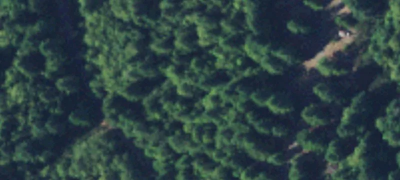 Brinnon, WA 98320