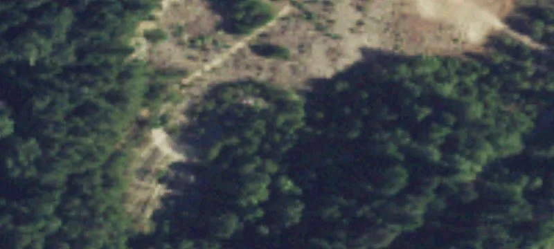 Cusick, WA 99119