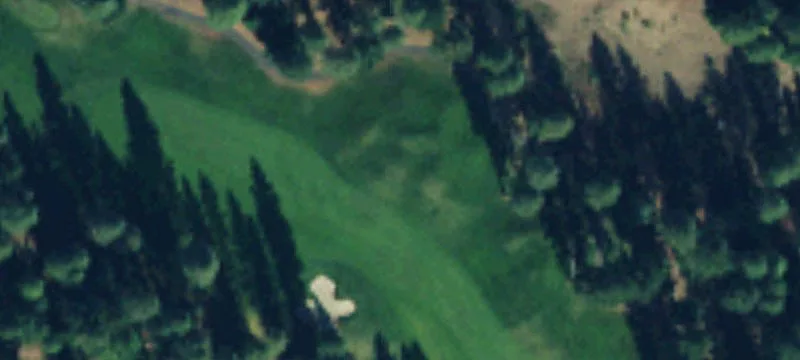 Pinegrass Loop