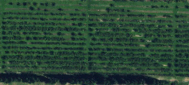 Tieton, WA 98947