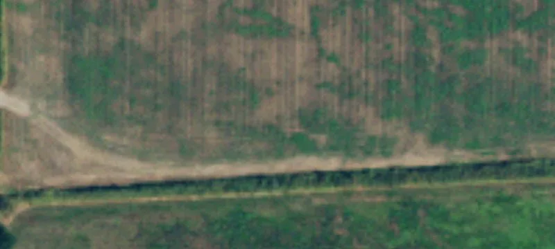 Badger Rd