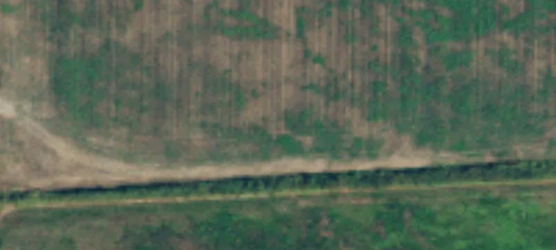 Badger Rd