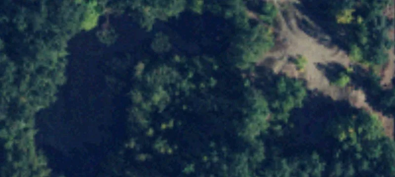 7381 Guide Meridian Rd