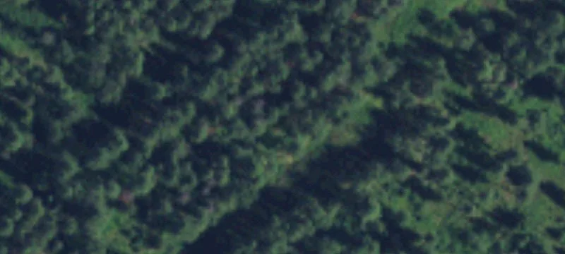 Usk, WA 99180