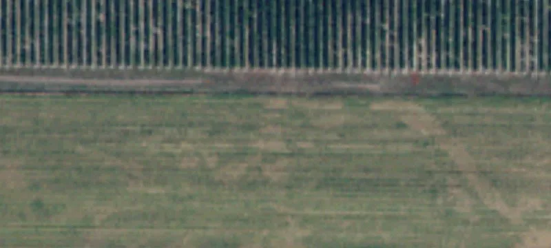 Badger Rd