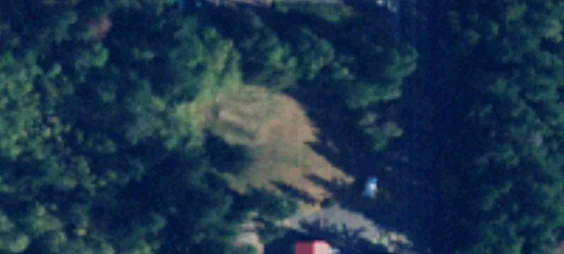 Tyee Rd