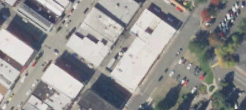 Griffin Ave