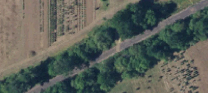 Twin Oaks Rd