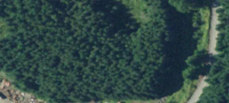 Muller Rd