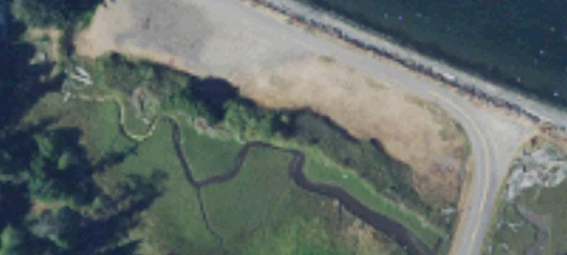 Sequim, WA 98382