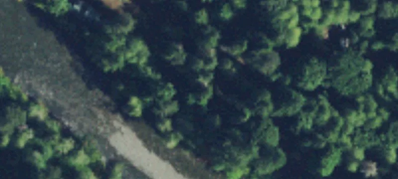 Brinnon, WA 98320