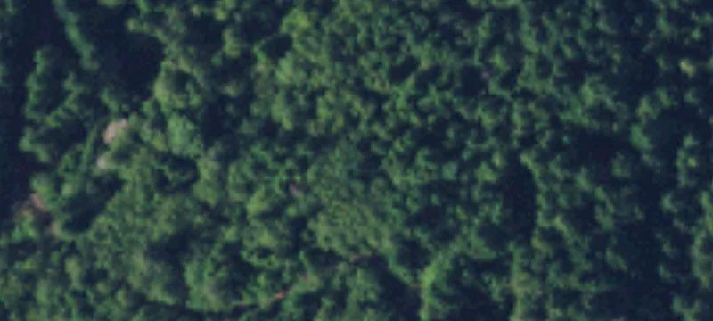 Brinnon, WA 98320