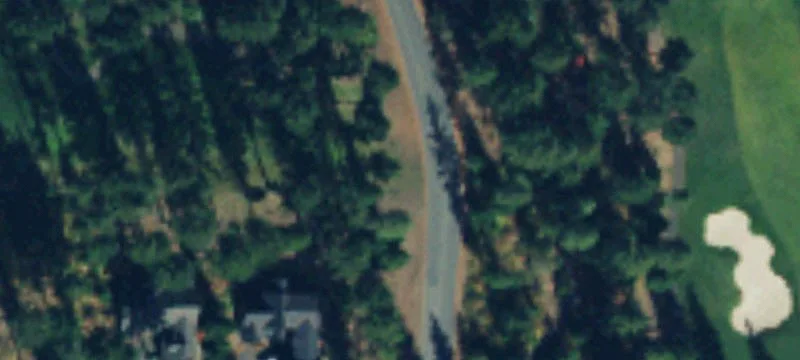 Pinegrass Loop