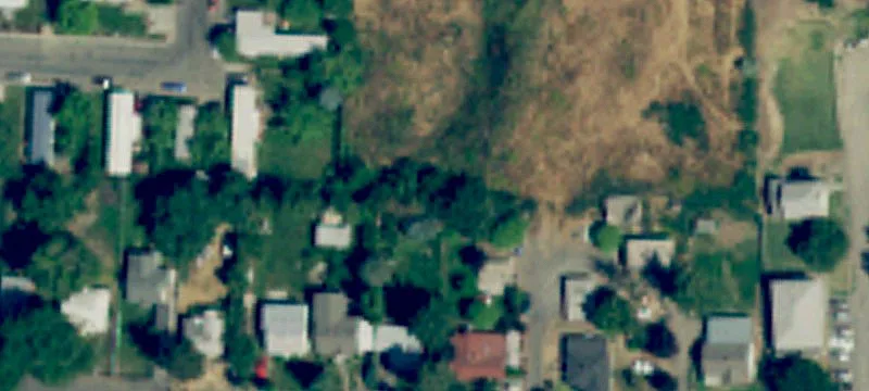 Edison Ave