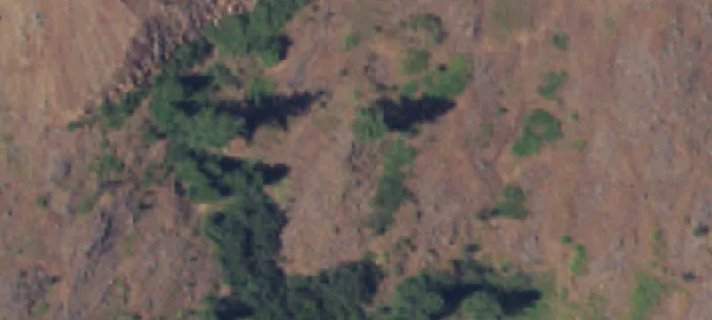 Danville, WA 99121