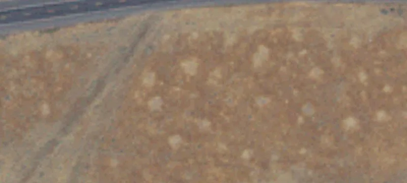 Moses Lake, WA 98837