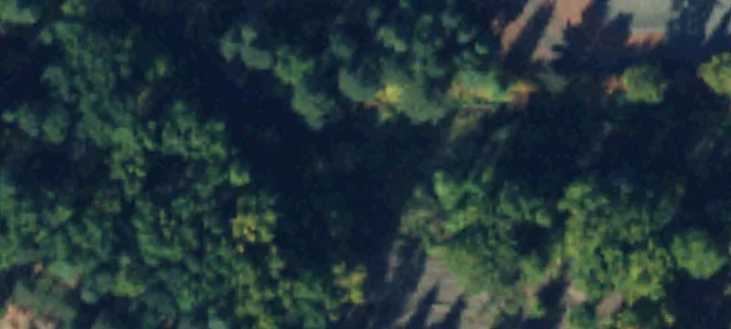 708 Owens Rd