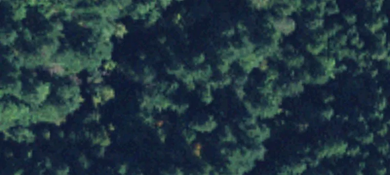 Ss Pass Rd