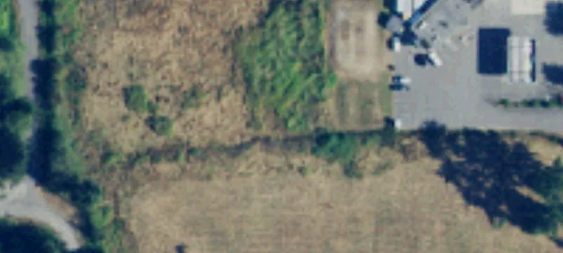 Tyee Rd