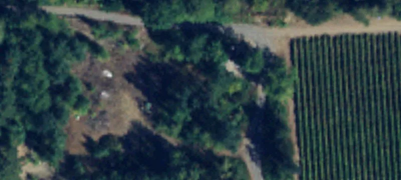 Msn Rd