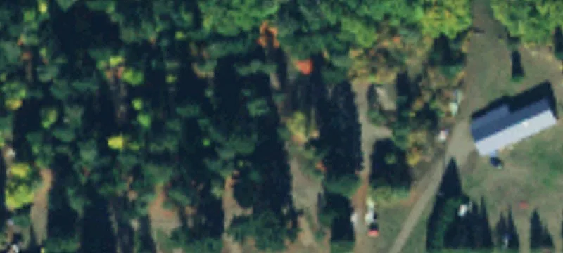 Tall Timber Trl