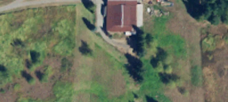 Curtis Rd