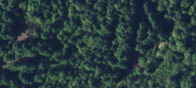 Brinnon, WA 98320