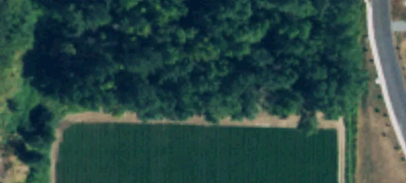 Freeman E Rd