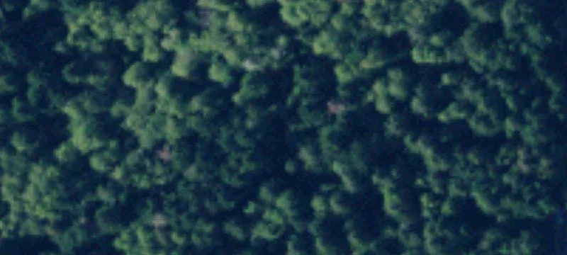 Lopez Island, WA 98261