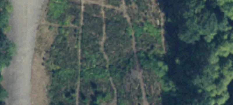 Us Hwy 12