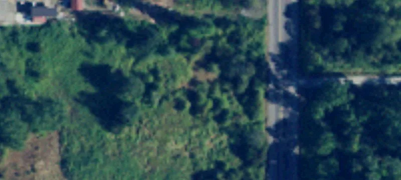 Tyee Dr