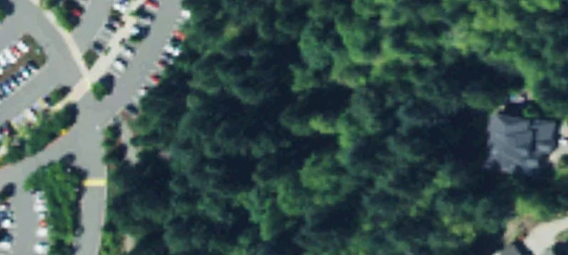 Canterwood Blvd