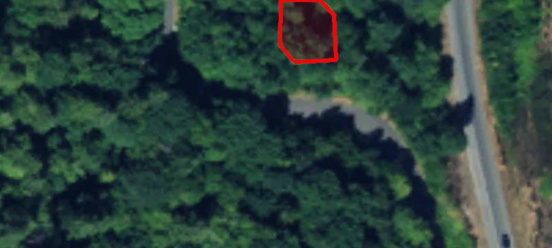 1900 Mullenix Rd