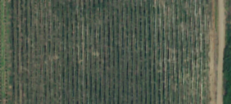 Wenatchee, WA 98801