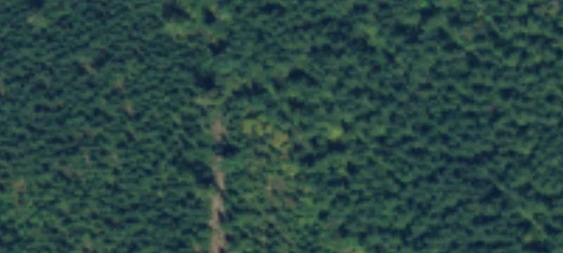 Middle Frk Rd