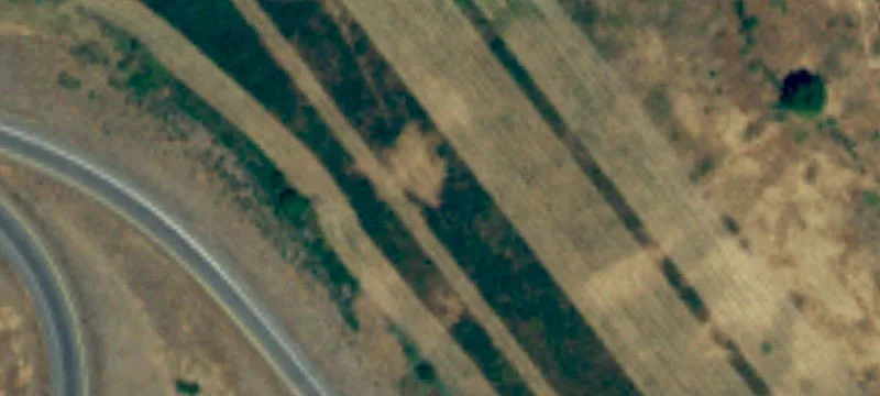 Zillah, WA 98953