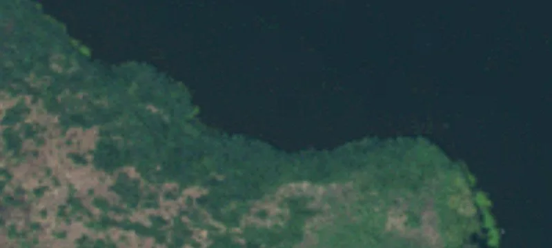 Longview, WA 98632