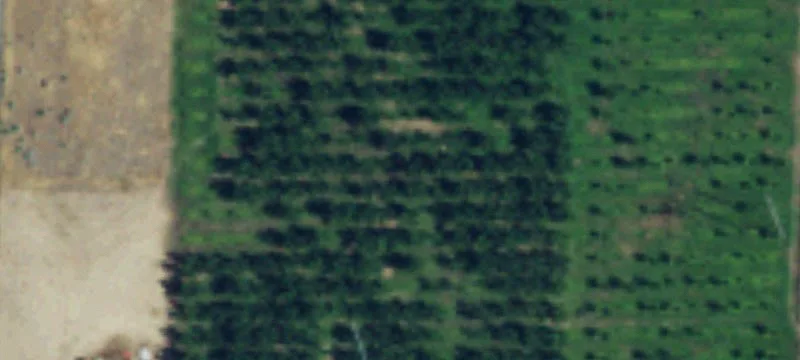 Malaga, WA 98828