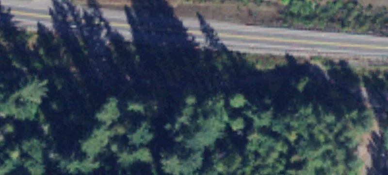 Mt Baker Hwy
