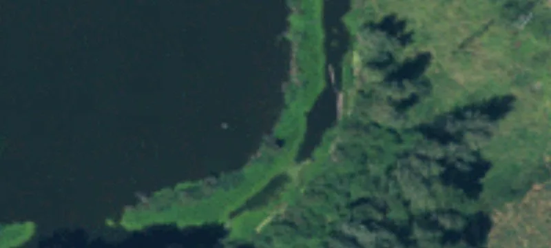 Longview, WA 98632