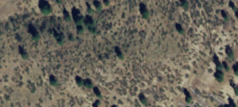 Cashmere, WA 98815