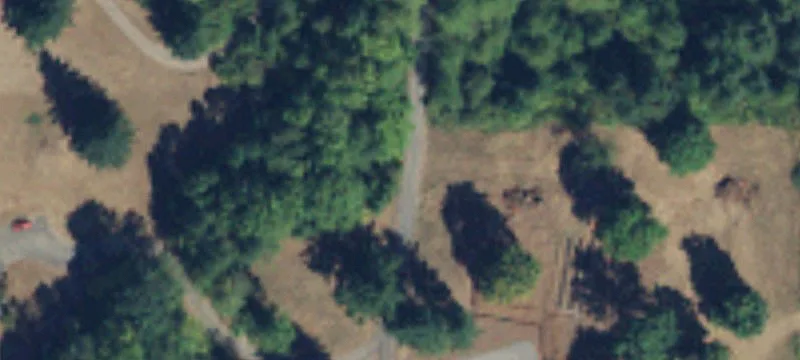Gore Rd