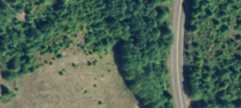 315 Parpala Rd