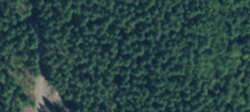 Larmon Rd