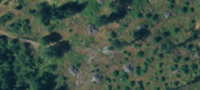 Winlock Vader Rd
