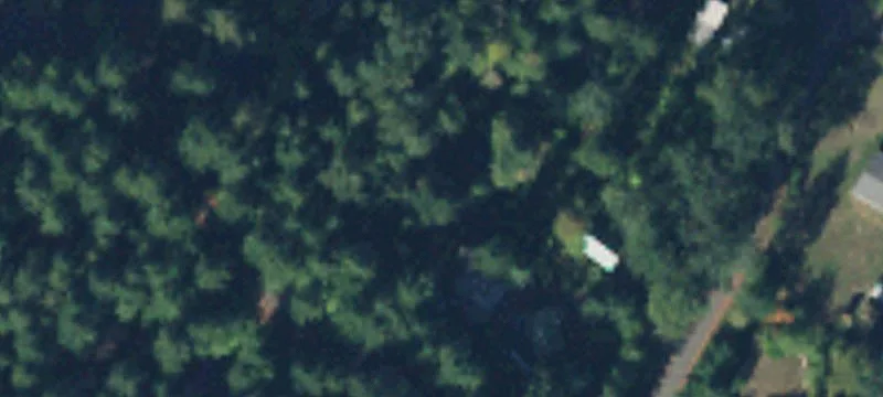 Ashford, WA 98304